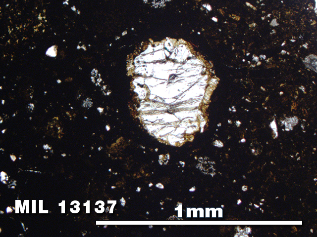 Thin Section Photo of Sample MIL 13137 in Plane-Polarized Light with 5X Magnification