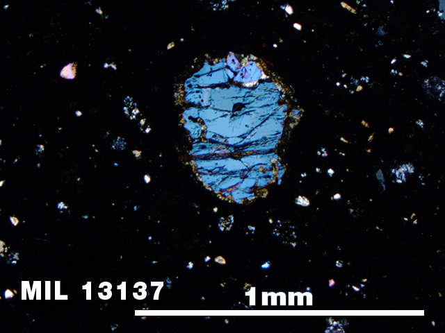 Thin Section Photo of Sample MIL 13137 in Cross-Polarized Light with 5X Magnification