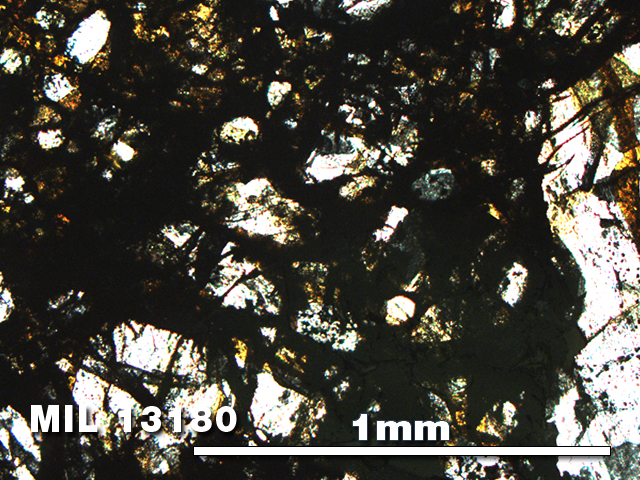 Thin Section Photo of Sample MIL 13180 in Plane-Polarized Light with 5X Magnification