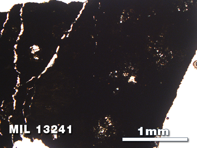 Thin Section Photo of Sample MIL 13241 in Plane-Polarized Light with 2.5X Magnification