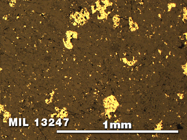 Thin Section Photo of Sample MIL 13247 in Reflected Light with 5X Magnification
