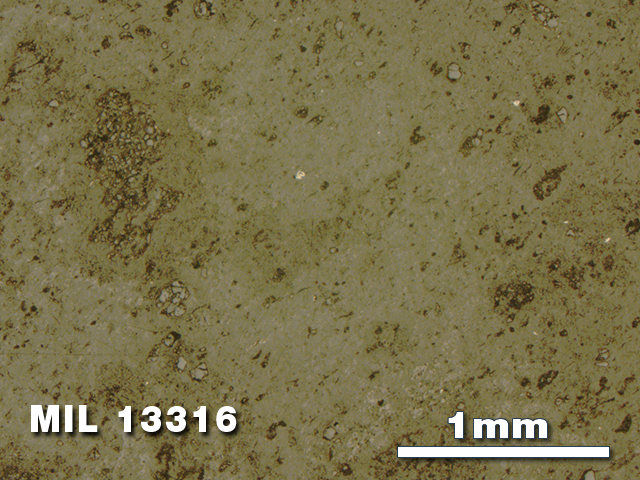 Thin Section Photo of Sample MIL 13316 in Reflected Light with 2.5X Magnification