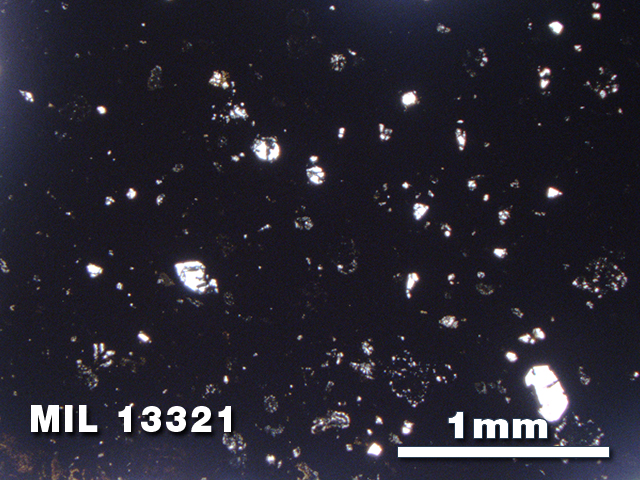 Thin Section Photo of Sample MIL 13321 in Plane-Polarized Light with 2.5X Magnification