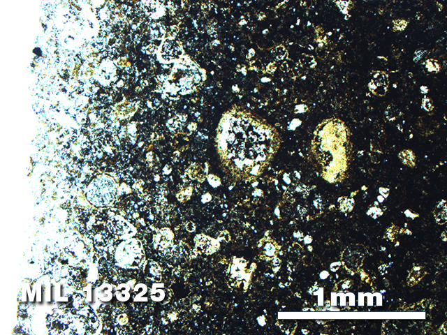 Thin Section Photo of Sample MIL 13325 in Plane-Polarized Light with 2.5X Magnification