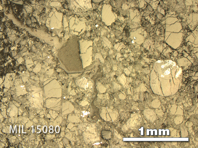 Thin Section Photo of Sample MIL 15080 in Reflected Light with 2.5X Magnification