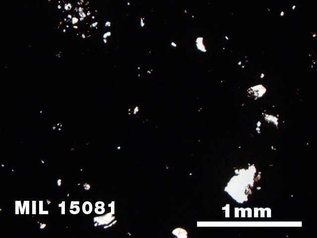 Thin Section Photo of Sample MIL 15081 in Plane-Polarized Light with 2.5X Magnification