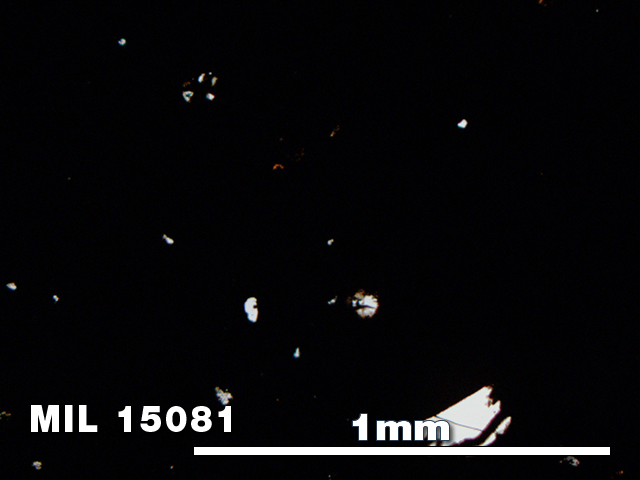 Thin Section Photo of Sample MIL 15081 in Plane-Polarized Light with 5X Magnification