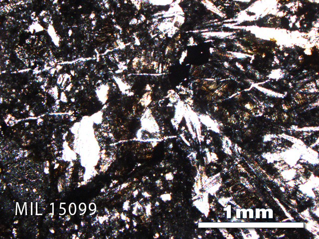 Thin Section Photo of Sample MIL 15099 in Plane-Polarized Light with 2.5X Magnification