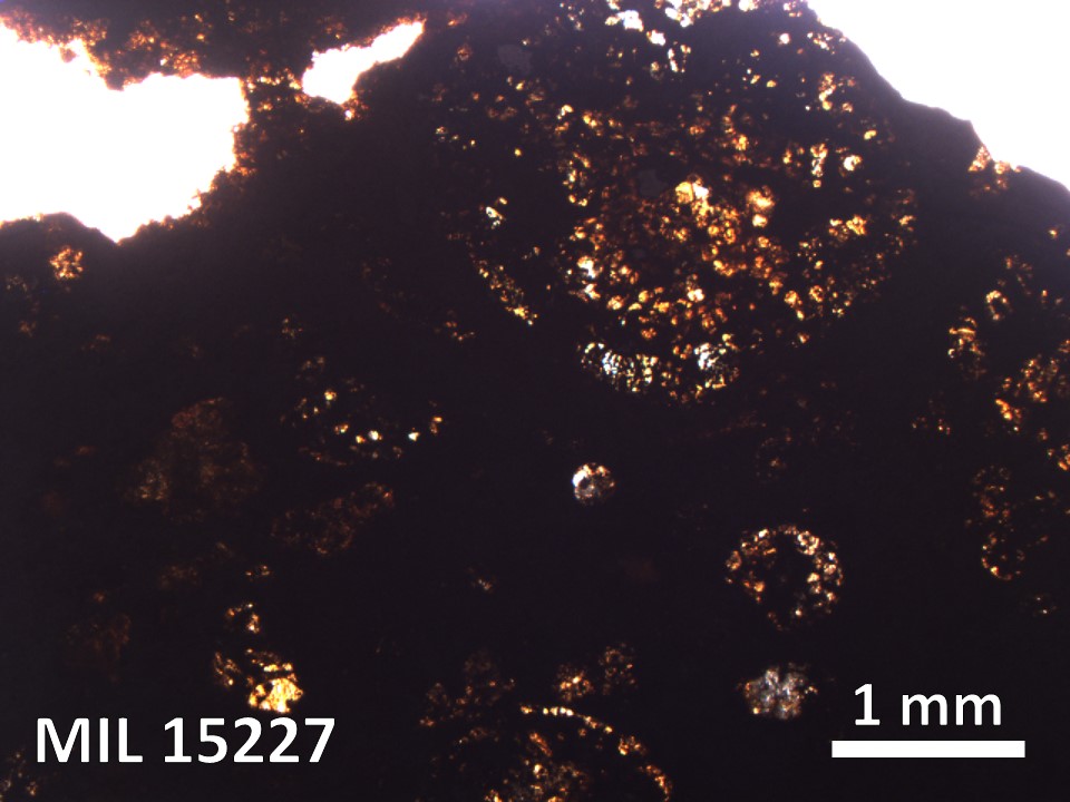 Thin Section Photo of Sample MIL 15227 in Plane-Polarized Light with 2.5X Magnification