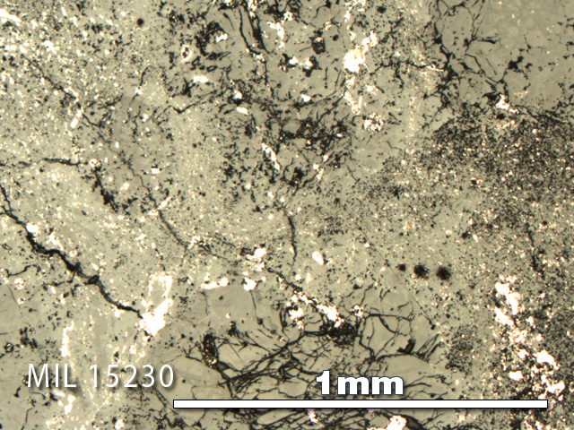 Thin Section Photo of Sample MIL 15230 in Reflected Light with 5X Magnification