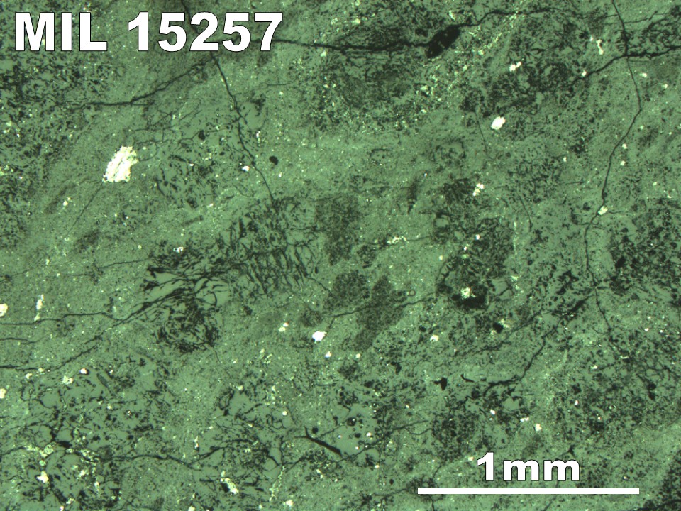 Thin Section Photo of Sample MIL 15257 in Reflected Light with 2.5X Magnification