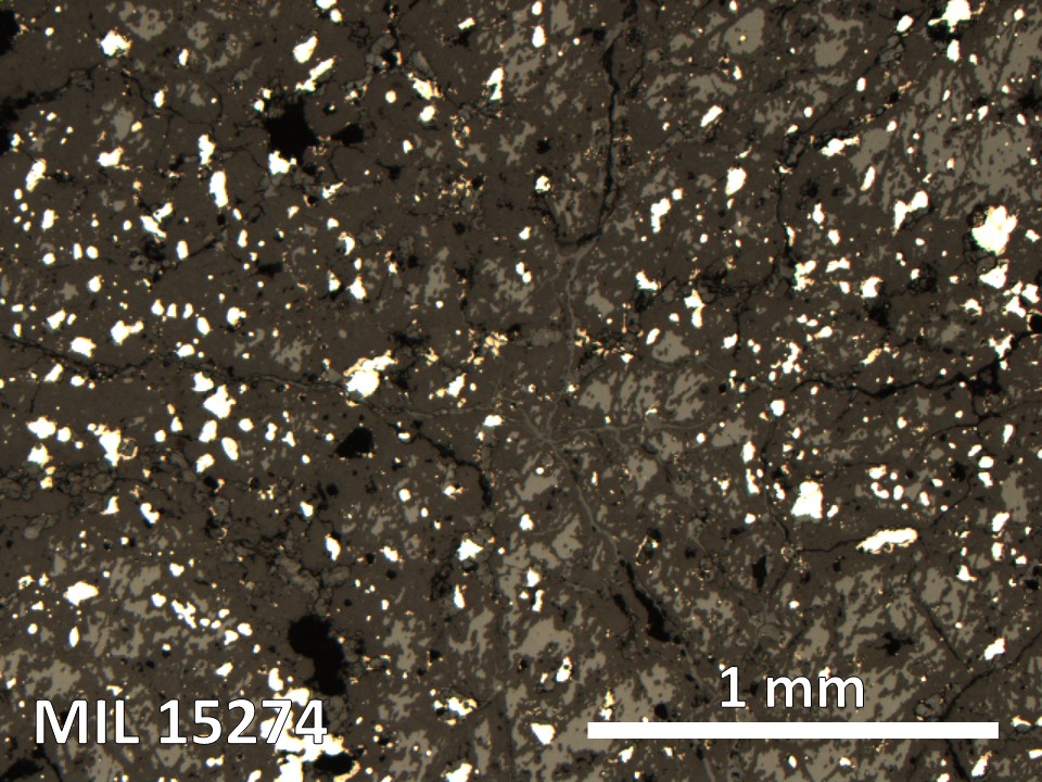 Thin Section Photo of Sample MIL 15274 in Reflected Light with 5X Magnification