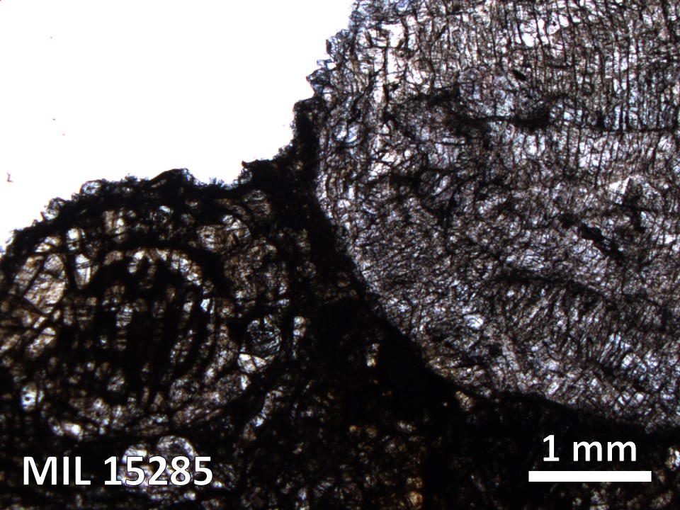 Thin Section Photo of Sample MIL 15285 in Plane-Polarized Light with 2.5X Magnification