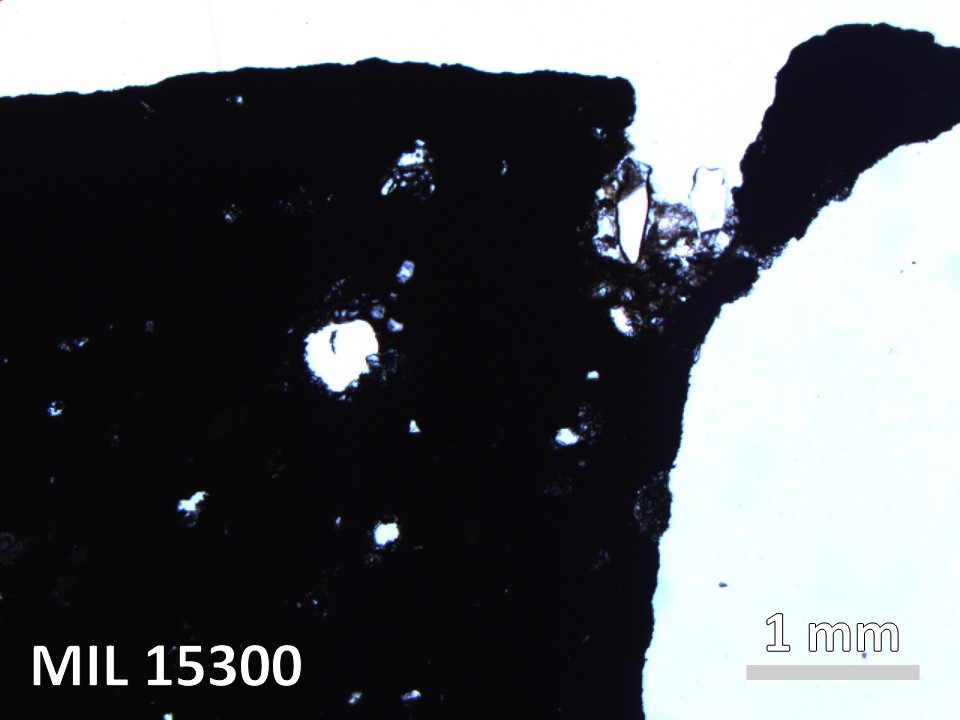 Thin Section Photo of Sample MIL 15300 in Plane-Polarized Light with 2.5X Magnification