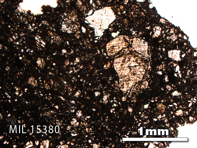 Thin Section Photo of Sample MIL 15380 in Plane-Polarized Light with 2.5X Magnification