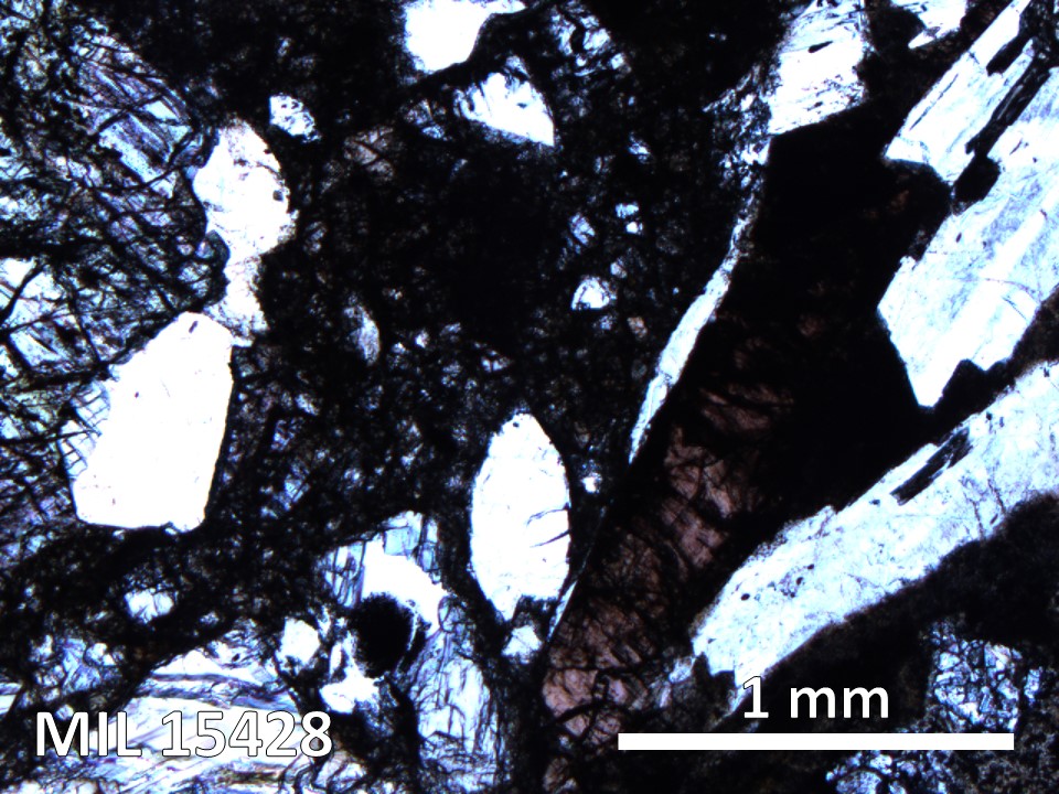 Thin Section Photo of Sample MIL 15428 in Plane-Polarized Light with 5X Magnification