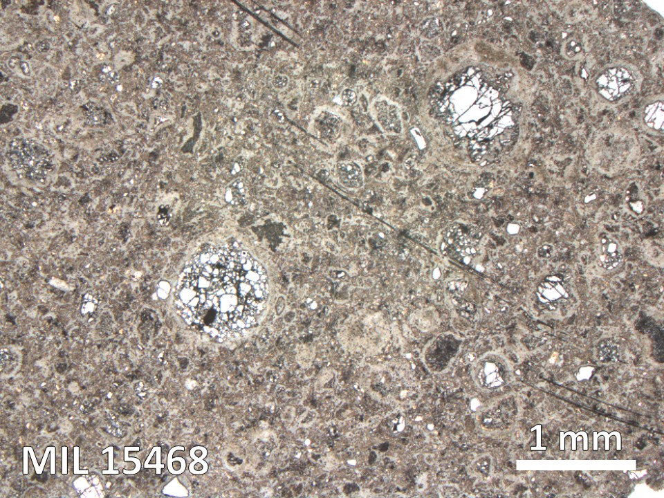 Thin Section Photo of Sample MIL 15468 in Reflected Light with 2.5X Magnification