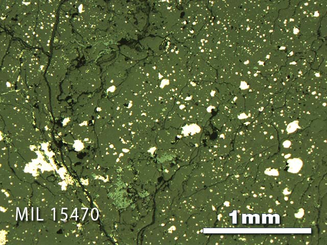 Thin Section Photo of Sample MIL 15470 in Reflected Light with 2.5X Magnification