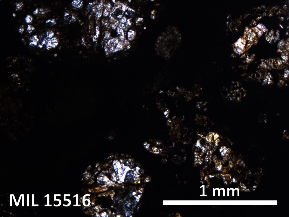 Thin Section Photo of Sample MIL 15516 in Plane-Polarized Light with 5X Magnification