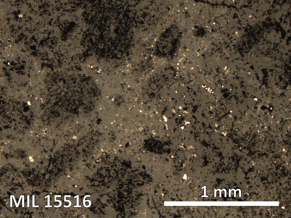 Thin Section Photo of Sample MIL 15516 in Reflected Light with 5X Magnification
