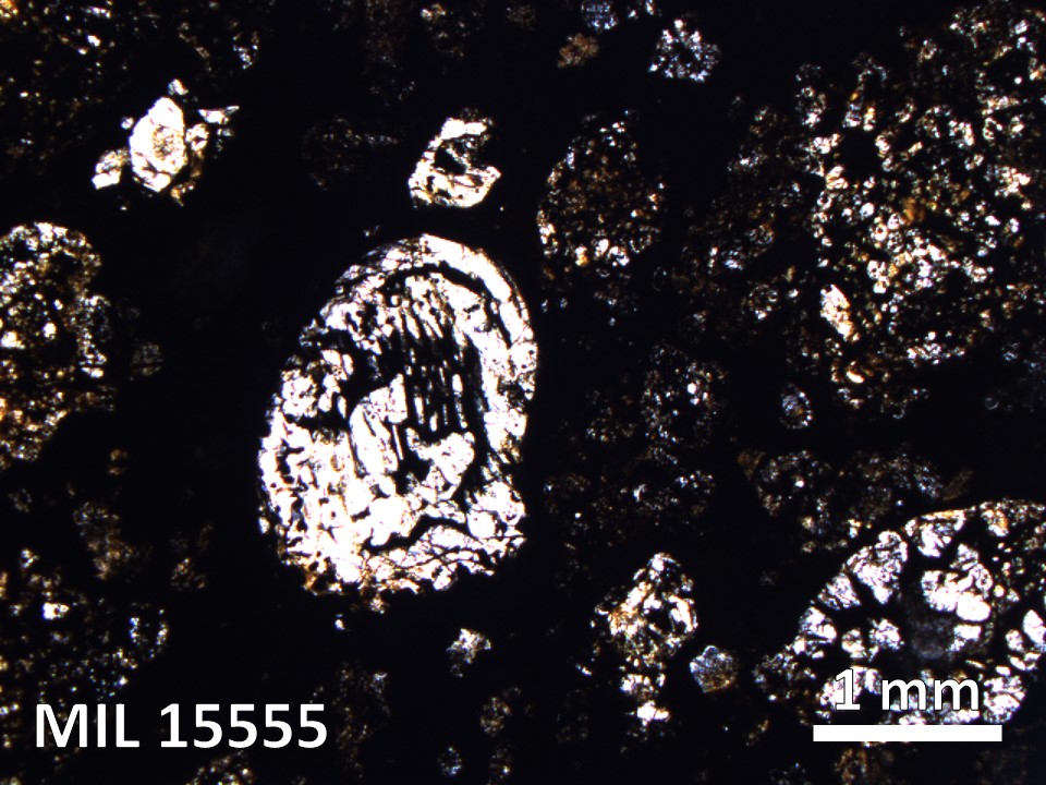 Thin Section Photo of Sample MIL 15555 in Plane-Polarized Light with 2.5X Magnification