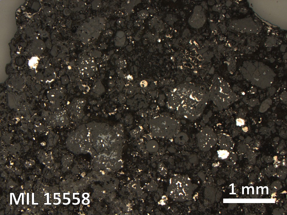 Thin Section Photo of Sample MIL 15558 in Reflected Light with 2.5X Magnification
