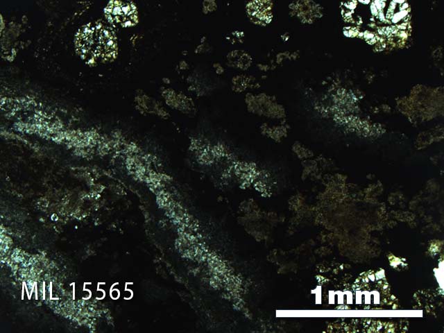 Thin Section Photo of Sample MIL 15565 in Plane-Polarized Light with 2.5X Magnification