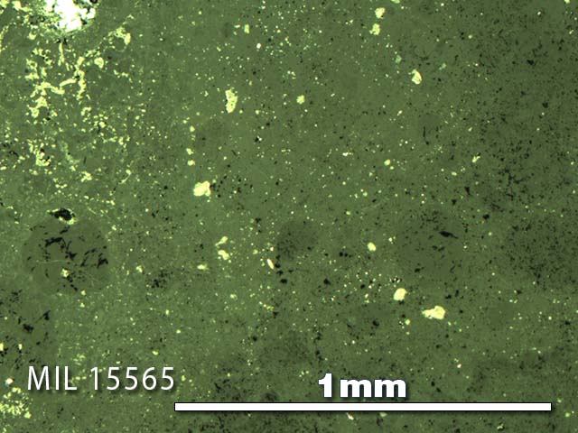 Thin Section Photo of Sample MIL 15565 in Reflected Light with 5X Magnification