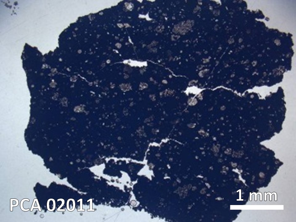 Thin Section Photo of Sample PCA 02011 in Plane-Polarized Light with 20X Magnification