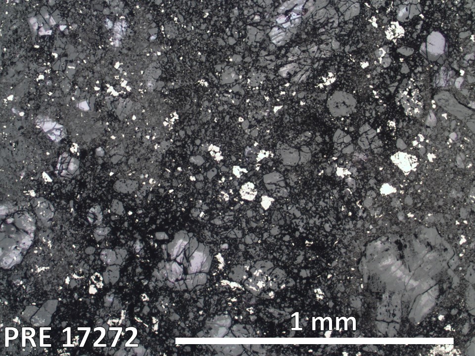Thin Section Photo of Sample PRE 17272 in Reflected Light with 2.5X Magnification