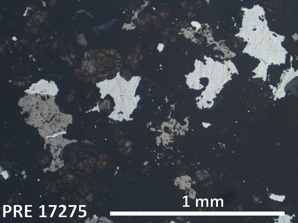 Thin Section Photo of Sample PRE 17275 in Reflected Light with 2.5X Magnification