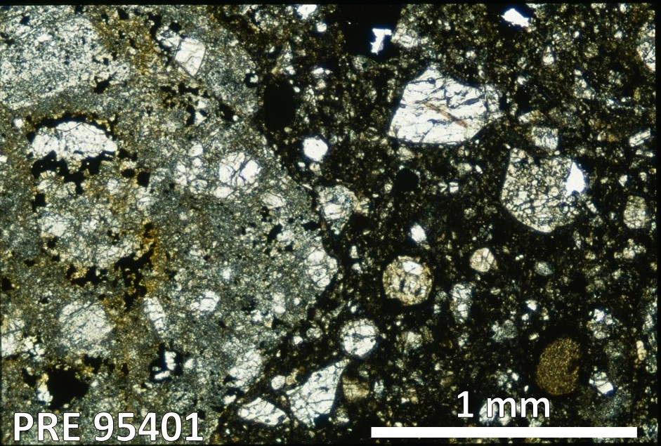 Thin Section Photo of Sample PRE 95401 in Plane-Polarized Light with 2.5X Magnification