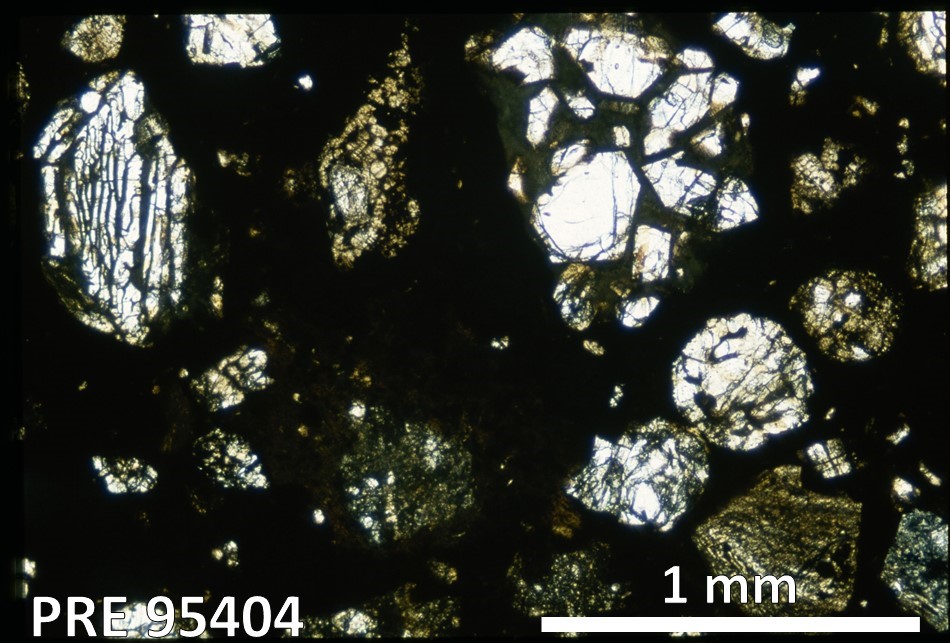 Thin Section Photo of Sample PRE 95404 in Plane Polarized Light