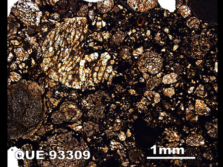 Thin Section Photograph of Sample QUE 93309 in Plane-Polarized Light