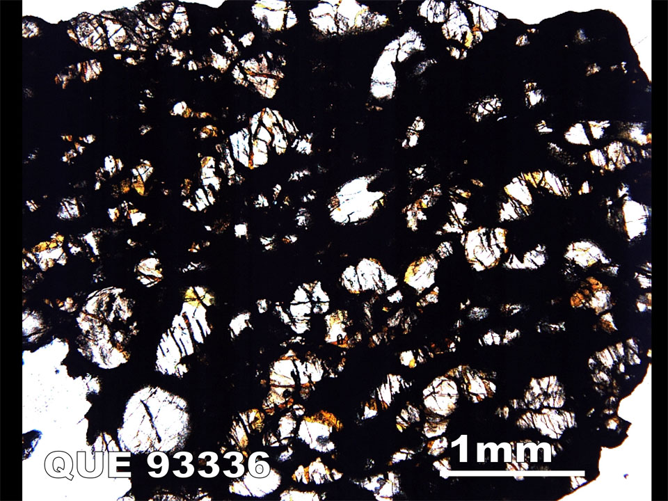 Thin Section Photograph of Sample QUE 93336 in Plane-Polarized Light
