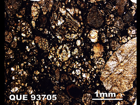 Thin Section Photograph of Sample QUE 93705 in Plane-Polarized Light