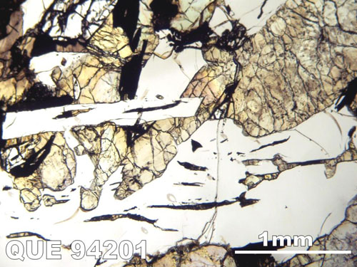 Thin Section Photograph of Sample QUE 94201 in Plane-Polarized Light