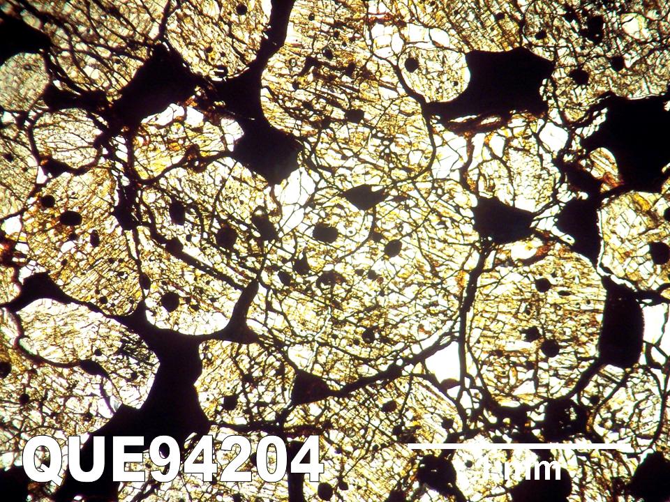 Thin Section Photo of Sample QUE 94204 in Plane-Polarized Light