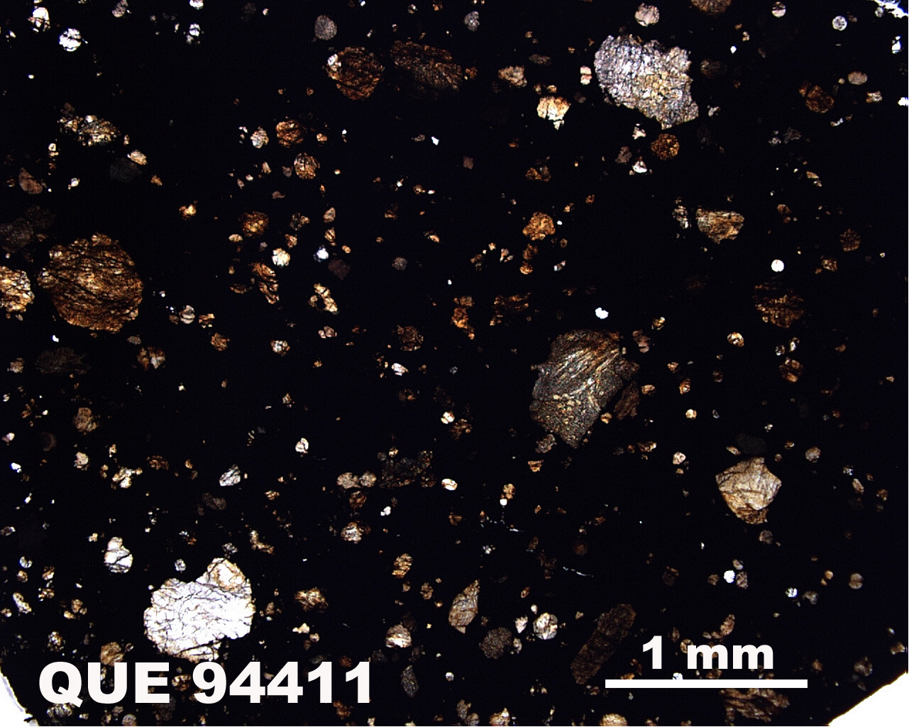 Thin Section Photo of Sample QUE 94411 in Plane-Polarized Light