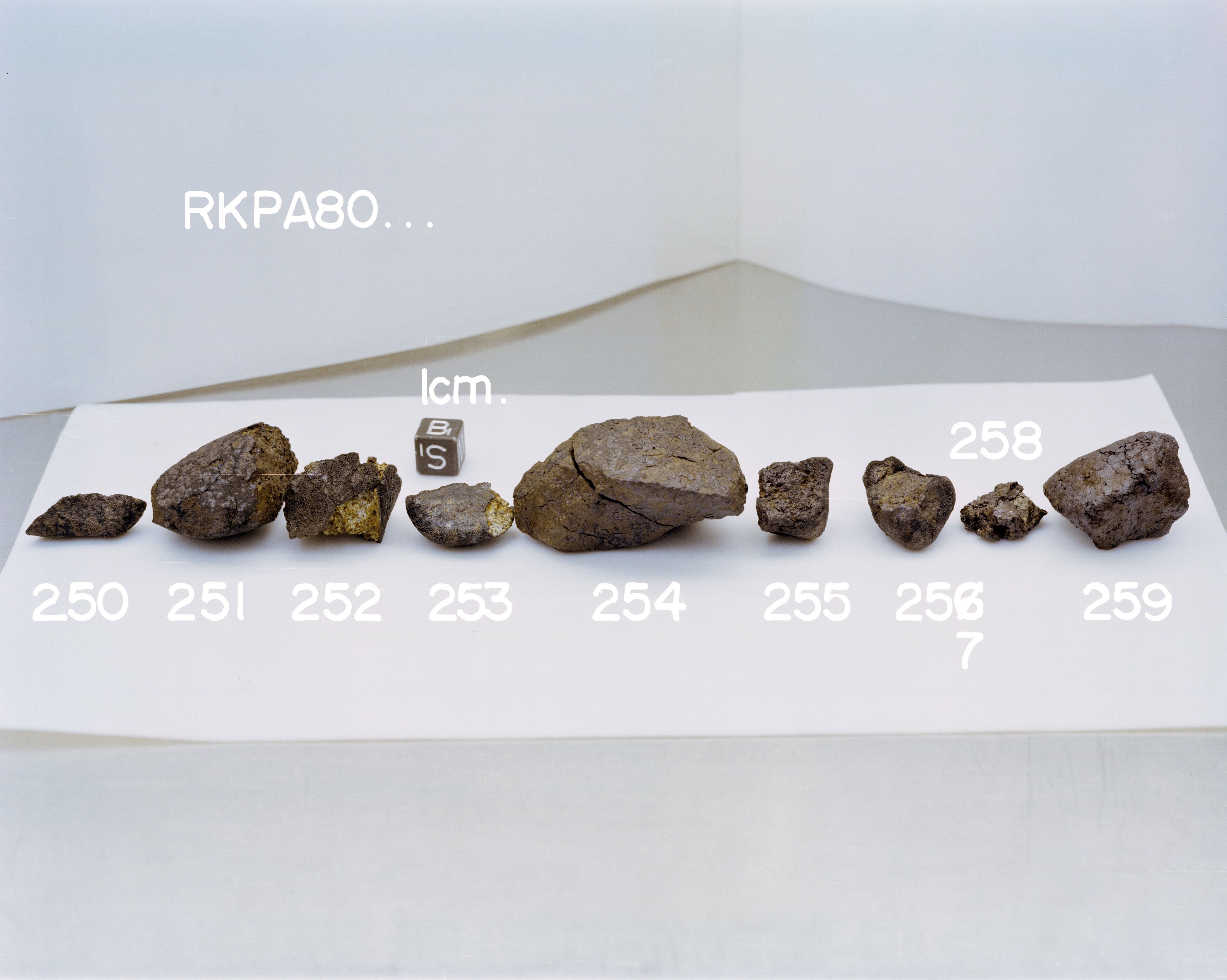 Group Photograph of Samples RKPA80250-80259 (South View)