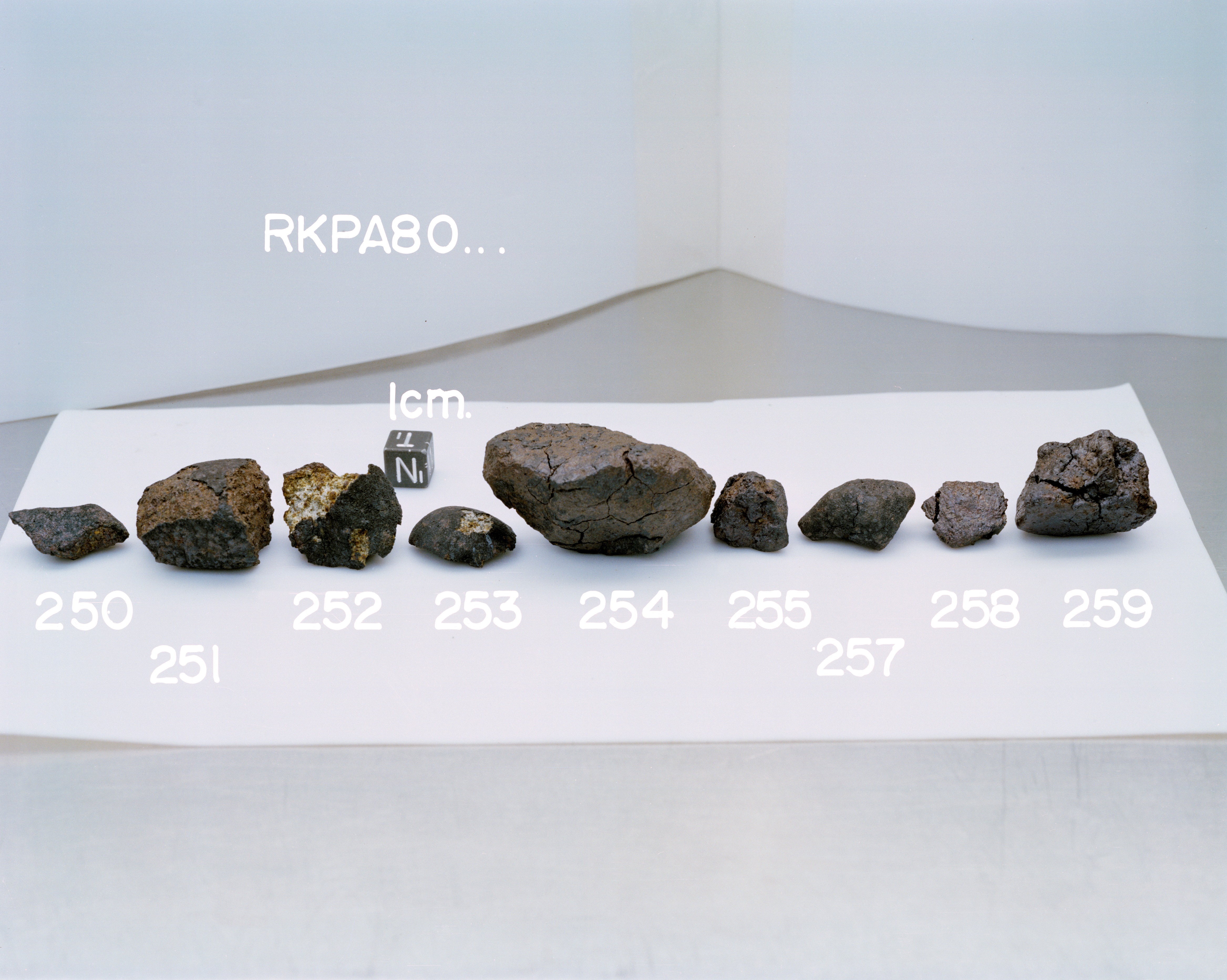 Group Photograph of Samples RKPA80250-80259 (North View)
