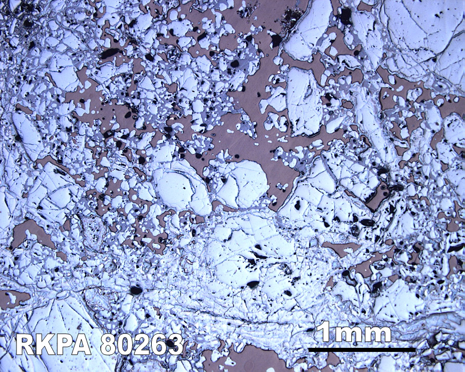 Thin Section Photograph of Sample RKPA80263 in Reflected Light