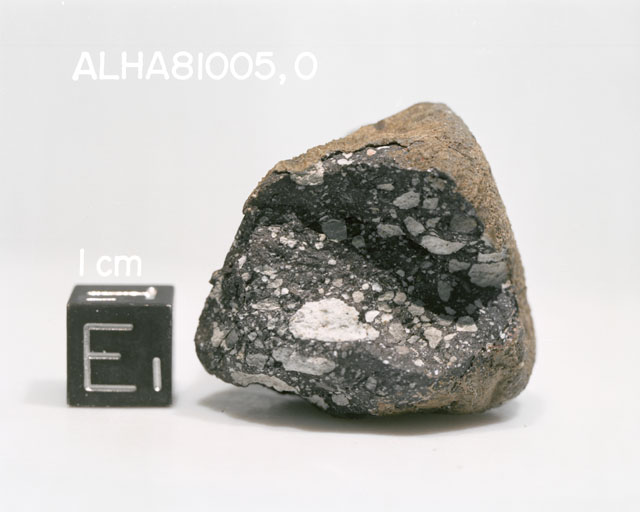 A1. Lab Photo of Sample ALH 81005