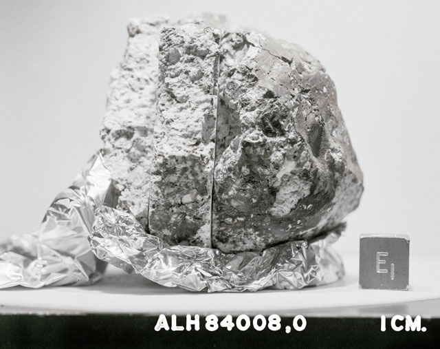 Lab Photo of Sample ALH 84008