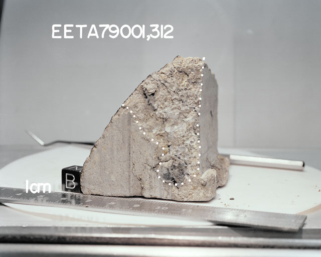 F1. Lab Photo of Sample EET 79001