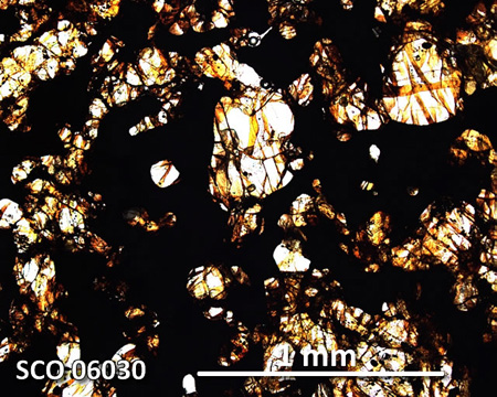 SCO 06030 Meteorite Thin Section Photo with 5x magnification in Plane-Polarized Light