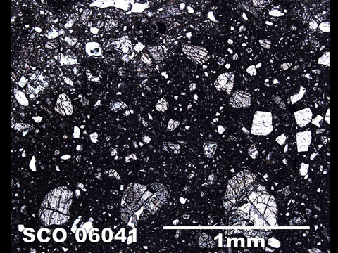 Thin Section Photo of Sample SCO 06041  in Plane-Polarized Light