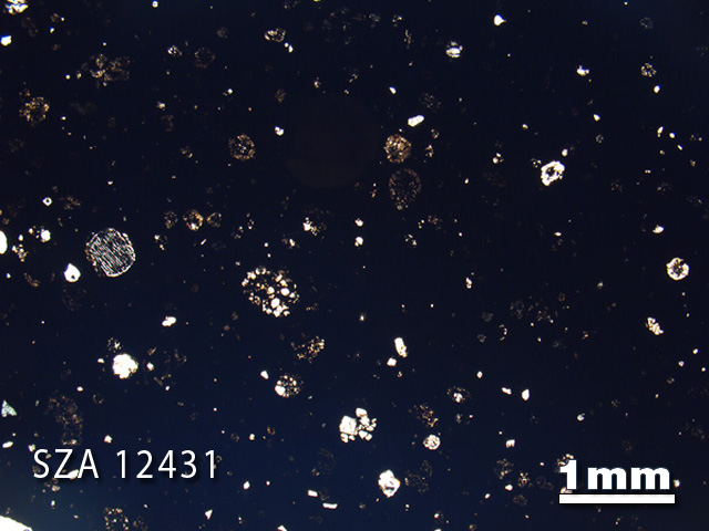 Thin Section Photograph of Sample SZA 12431 in Plane-Polarized Light