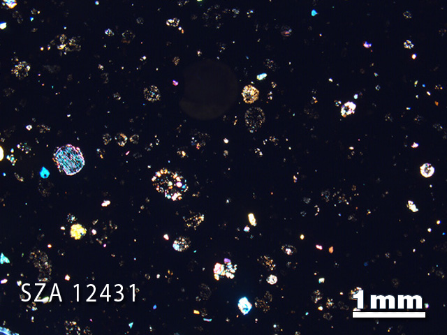 Thin Section Photograph of Sample SZA 12431 in Cross-Polarized Light