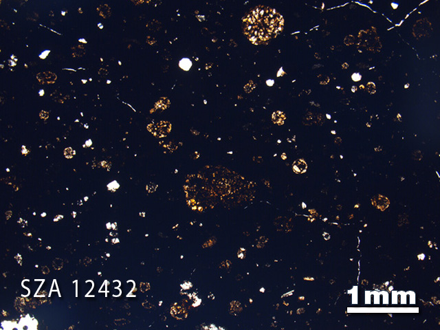Thin Section Photograph of Sample SZA 12432 in Plane-Polarized Light